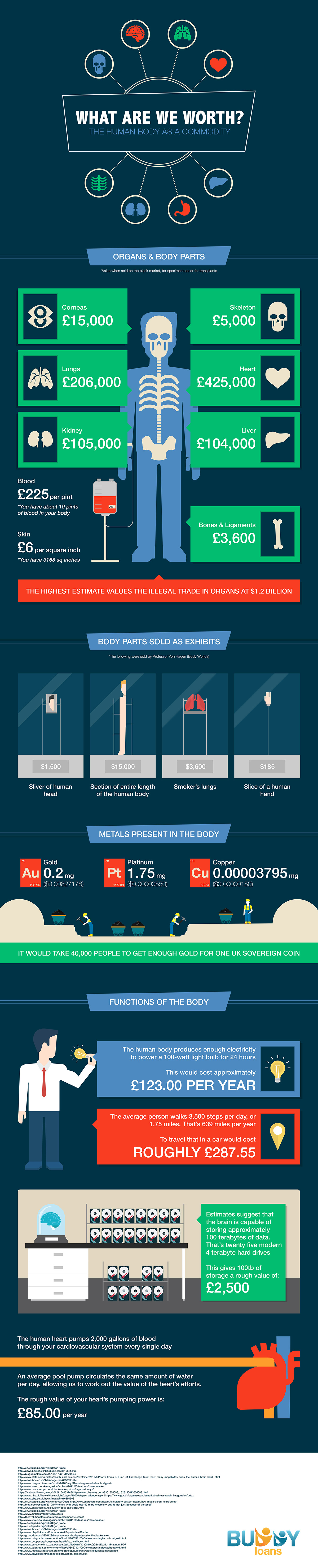 How Much Are We Worth by Buddy Loans