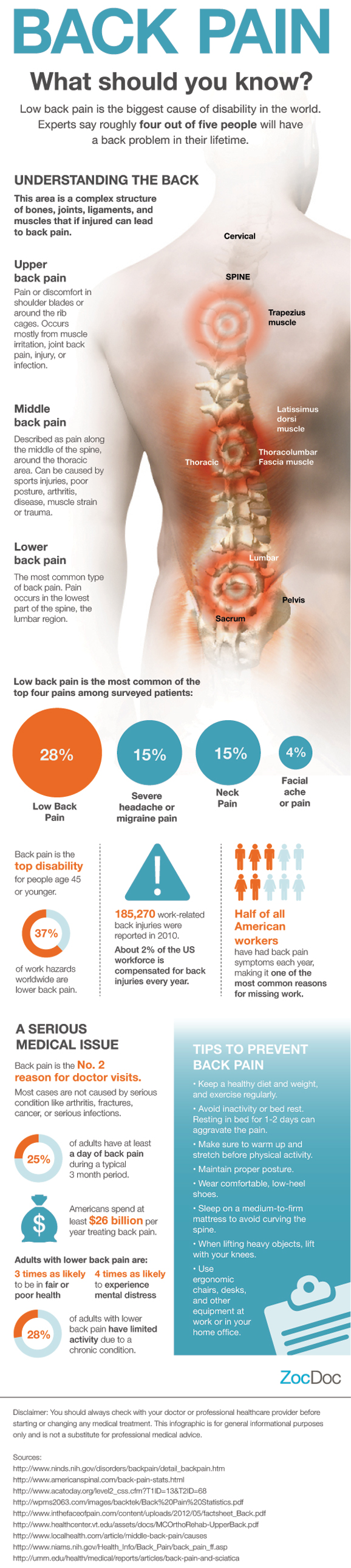 Back Pain: What You Should Know by ZocDoc