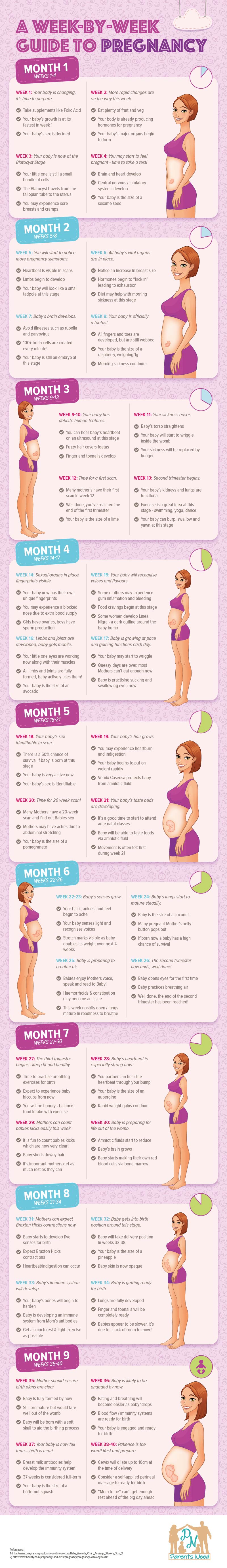 A Week by Week Guide to Pregnancy by ParentsNeed