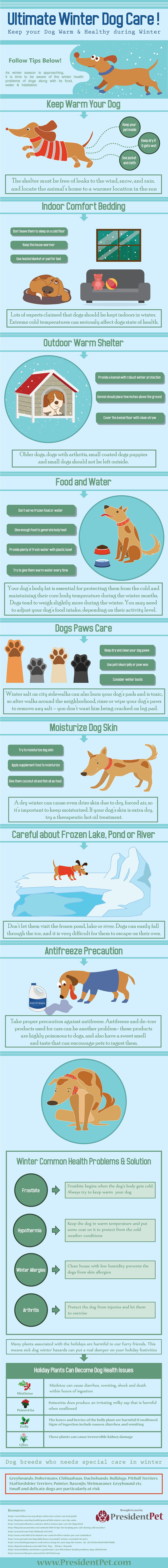 Ultimate Winter Dog Care Guide by PresidentPet