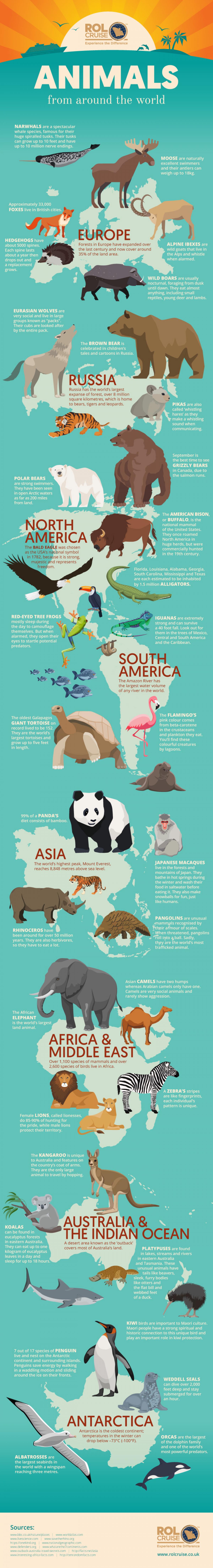 Animals From Around the World by ROL Cruise