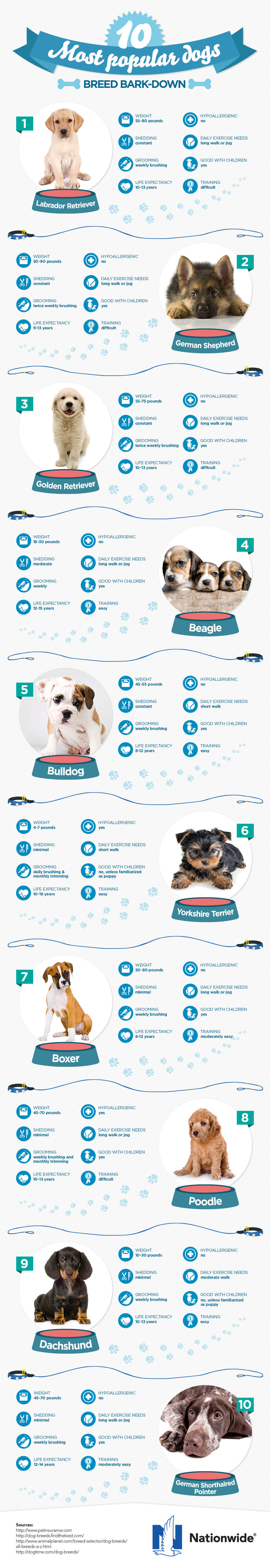 The Ten Most Popular Dogs by Nationwide Insurance