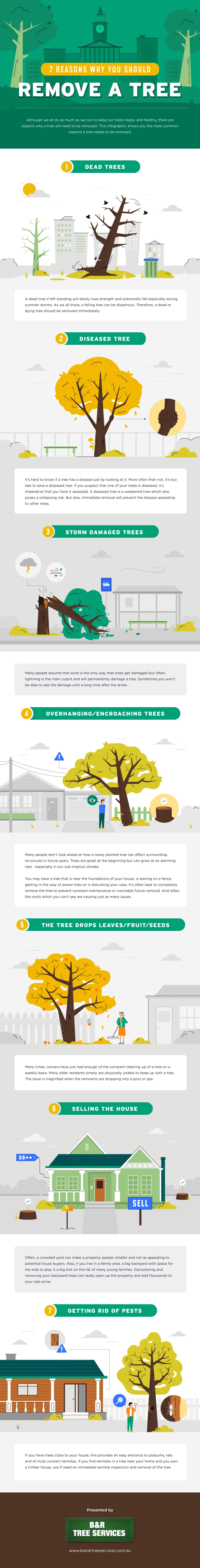 7 Reasons Why You Should Remove a Tree by B&R Tree Services