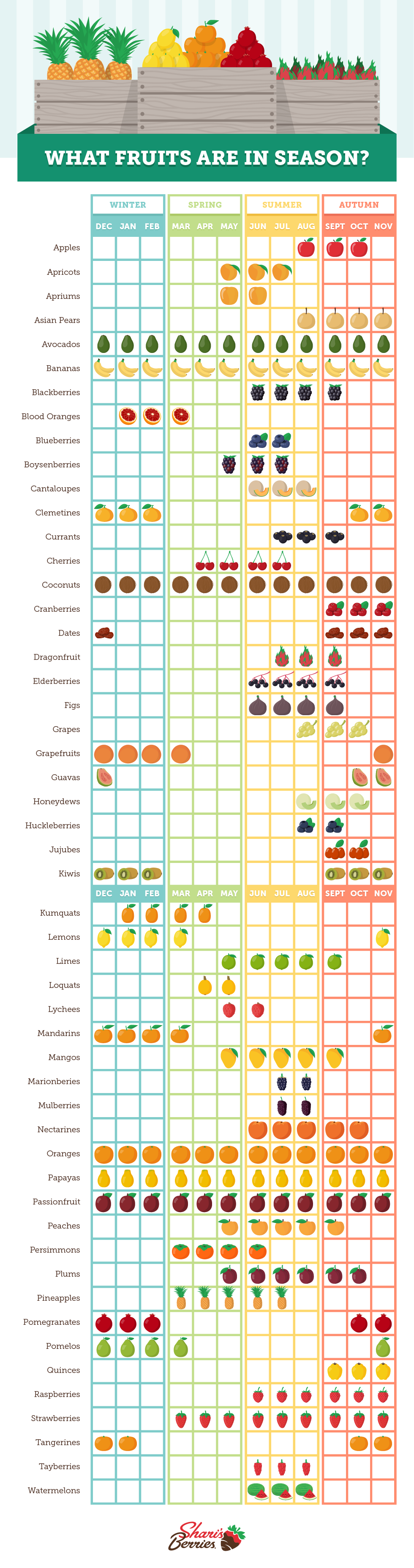 What Fruits Are In Season? by Shari's Berries