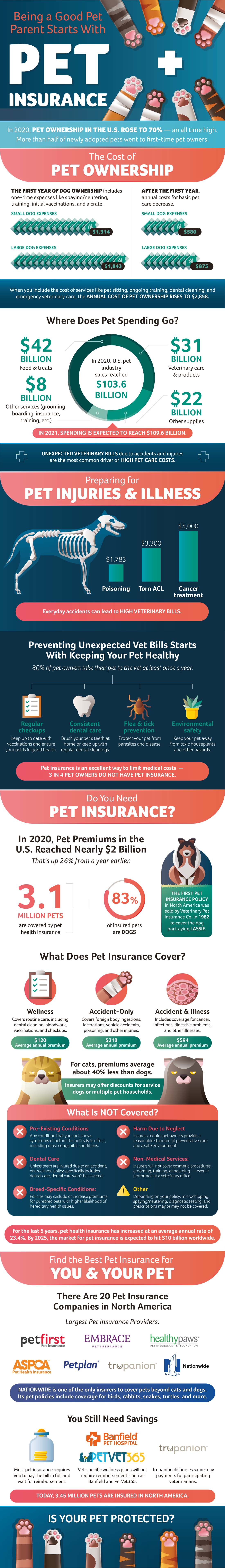 Being A Good Pet Parent Starts With Pet Insurance