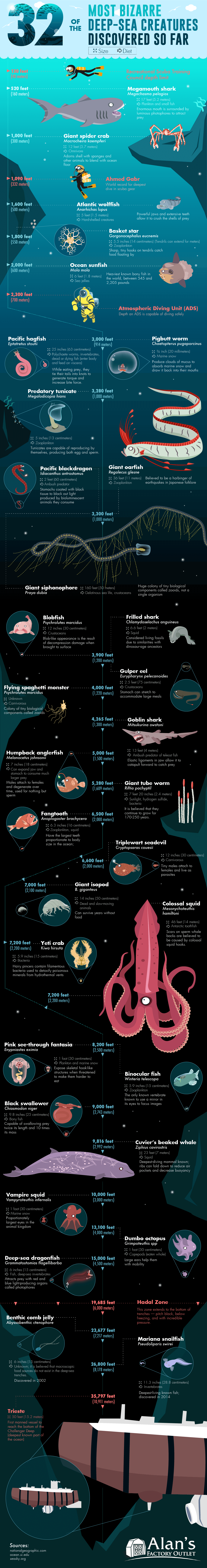 32 of the Most Bizarre Deep-Sea Creatures Discovered So Far