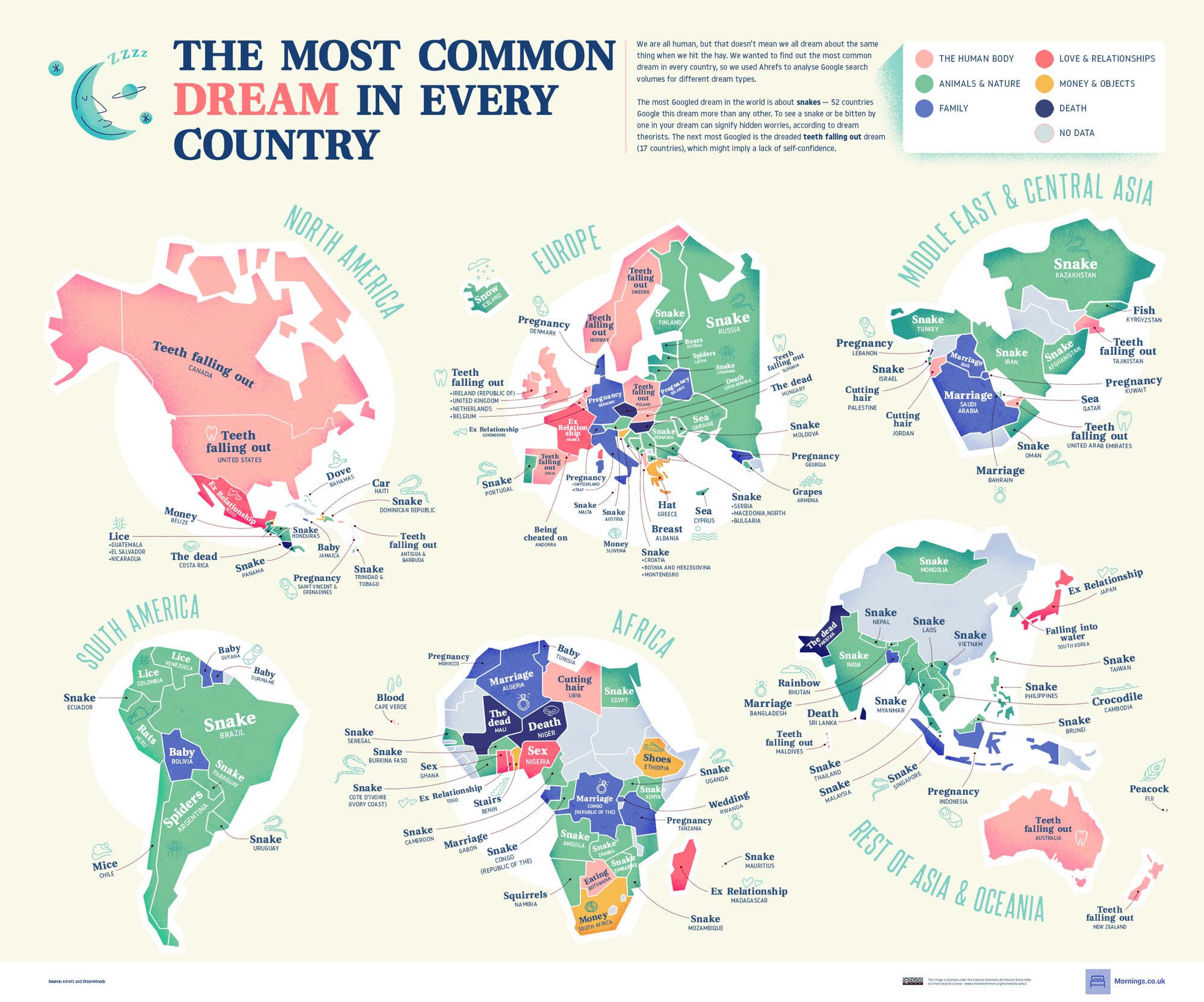 The Most Common Dream in Every Country