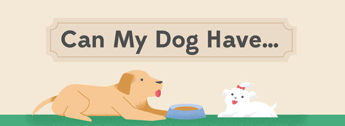 What Can My Dog Have To Eat Shit Hot Infographics