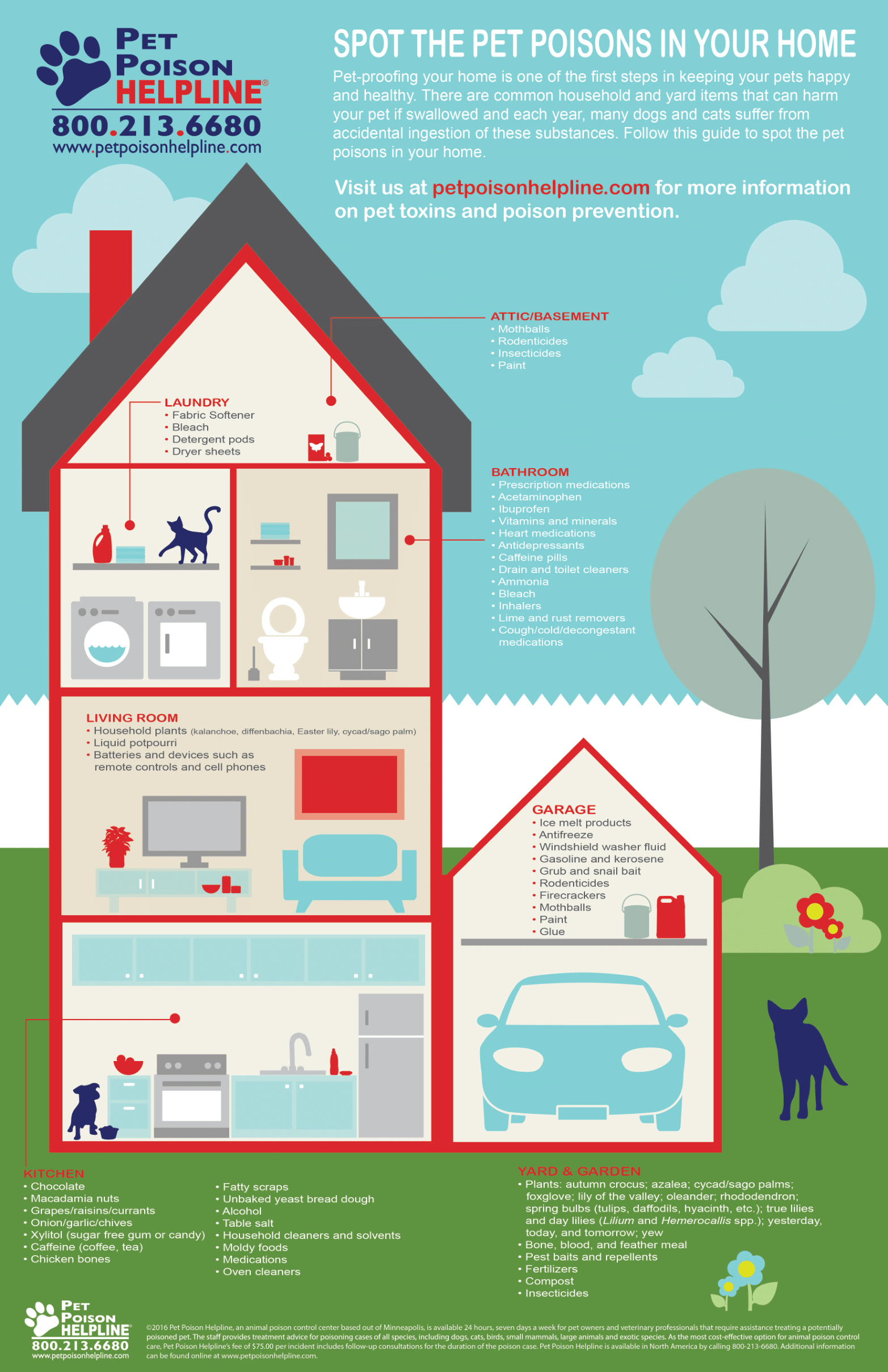 Spot The Pet Poisons In Your Home - Infographic