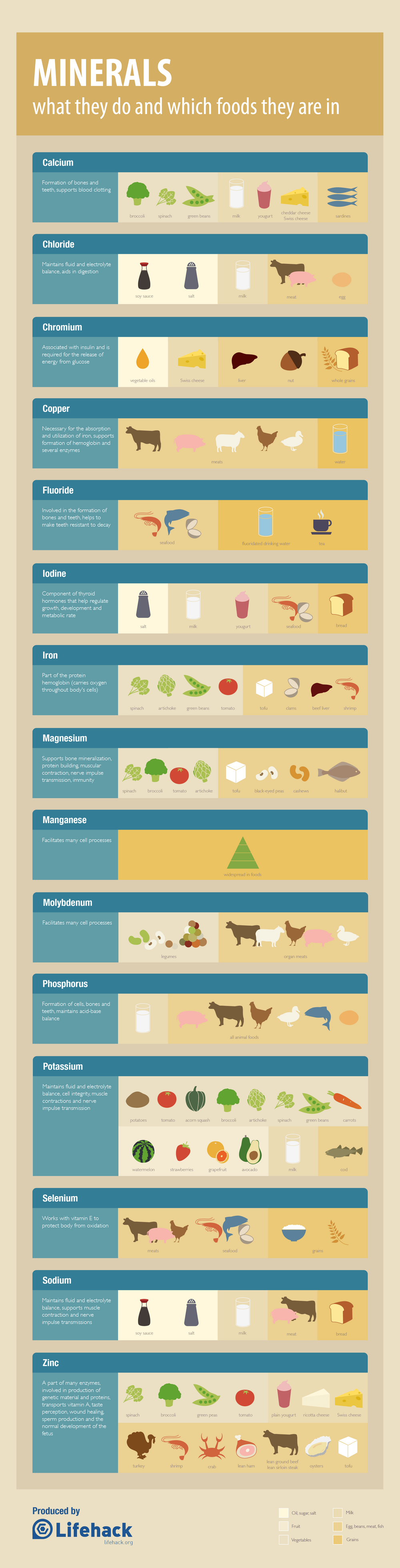 Minerals: What They Do And Which Foods They Are In - Infographic