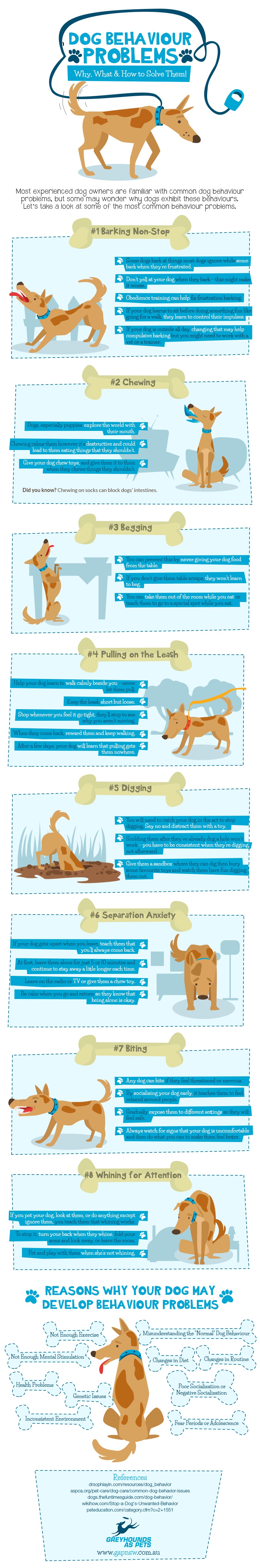Dog Behaviour Problems: Why, What & How To Solve Them - Infographic