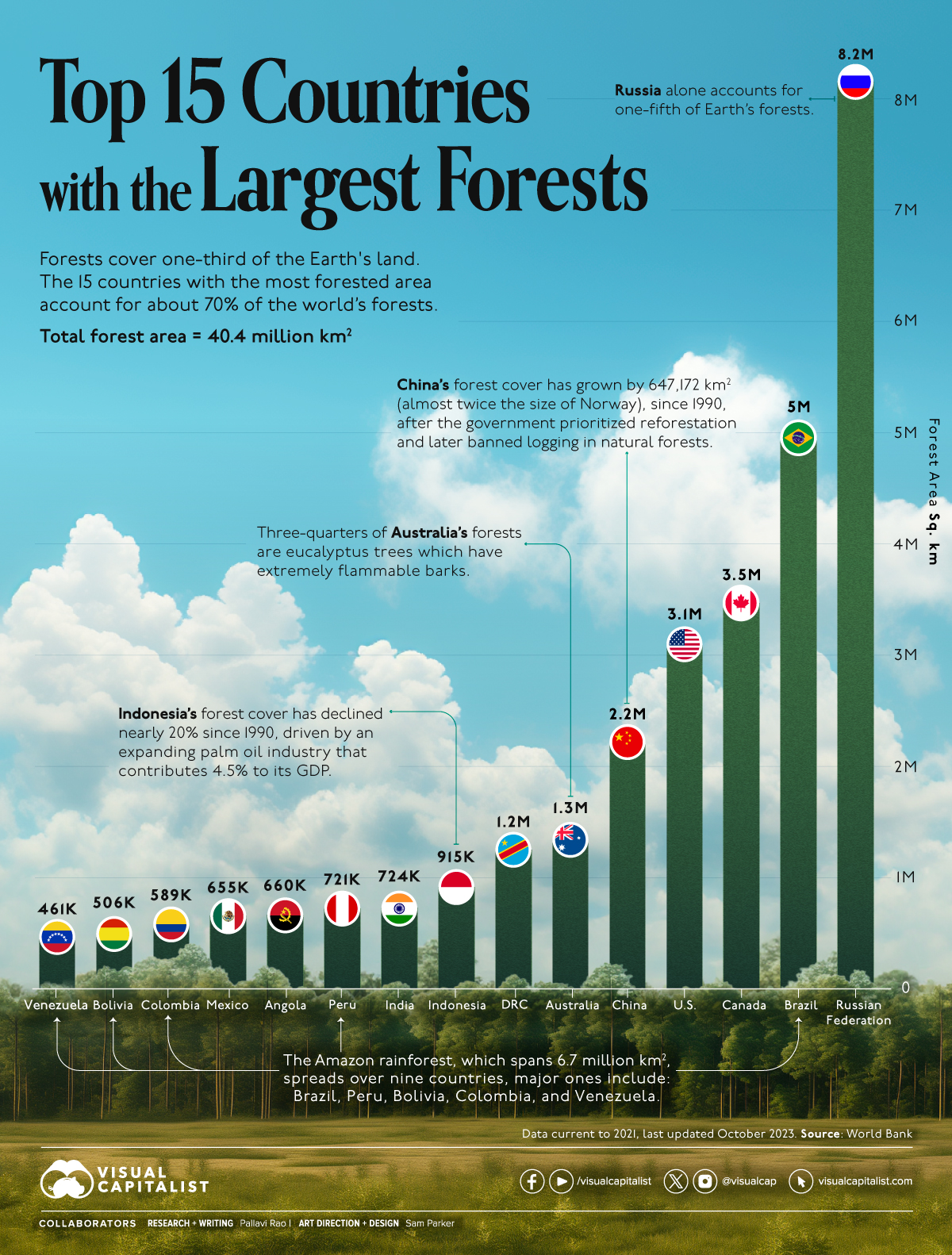 Top 15 Countries With The Largest Forests - Infographic
