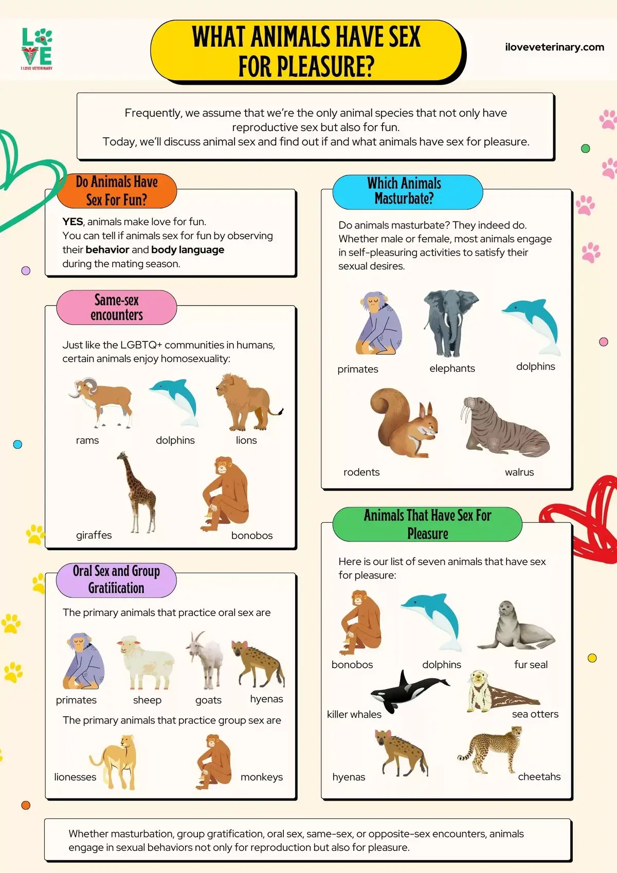 What Animals Have Sex For Pleasure? - Infographic