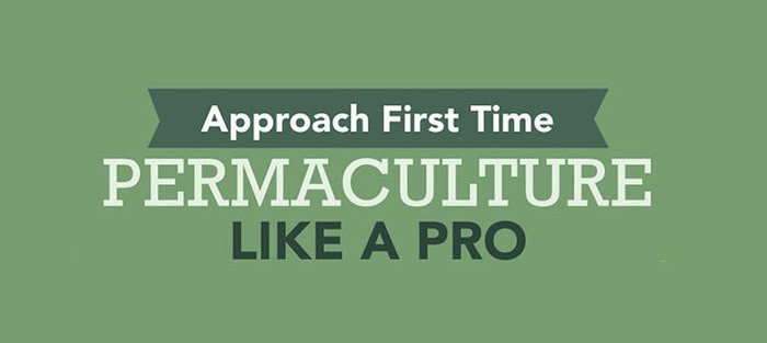 Approach First-Time Permaculture Like a Pro