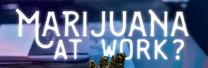 Marijuana at Work in America