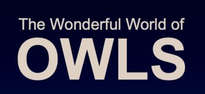 The Wonderful World of Owls